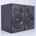 Dynaudio BM15P Monitor pair #665075/665076 (Used)