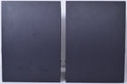 Dynaudio BM15P Monitor pair #665075/665076 (Used)