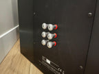 ATC Loudspeakers SCM110A Pro Soffit Mounted Monitor - Pair #375/376 (Used)
