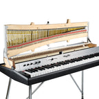 Vintage Vibe Marquis 73 Active Electric Piano with Variable Voice Control Mod
