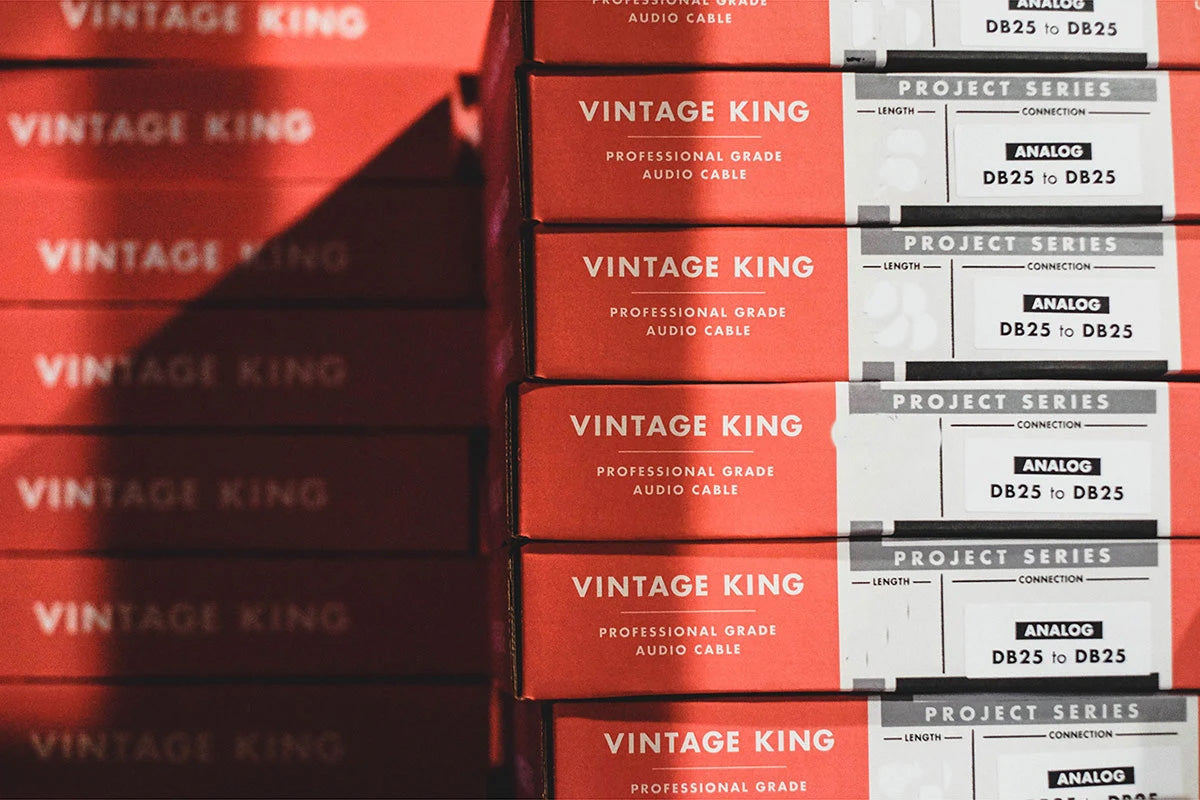 Vintage King Project Series Cable Kit for API The Box 2 - 10'