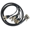 Vintage King Project Series AES/EBU DB25 Yamaha Pinout to 4 XLRF/4 XLRM Cable - 3' (Demo Deal)