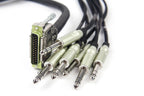 Vintage King Project Series DB25 to TS Cable - 5'