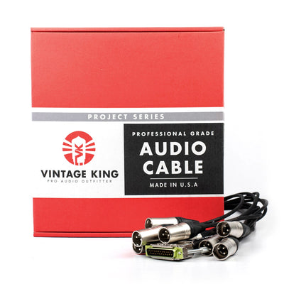 Vintage King Project Series DB25 - XLRM - 15'