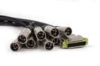 Vintage King Project Series DB25 - XLRM - 10' (Demo Deal)