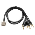 Warm Audio Premier DB25 to TRS Cable - 10'