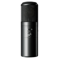 Warm Audio WA-8000 Large Diaphragm Tube Condenser Microphone