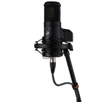 Warm Audio WA-8000 Large Diaphragm Tube Condenser Microphone