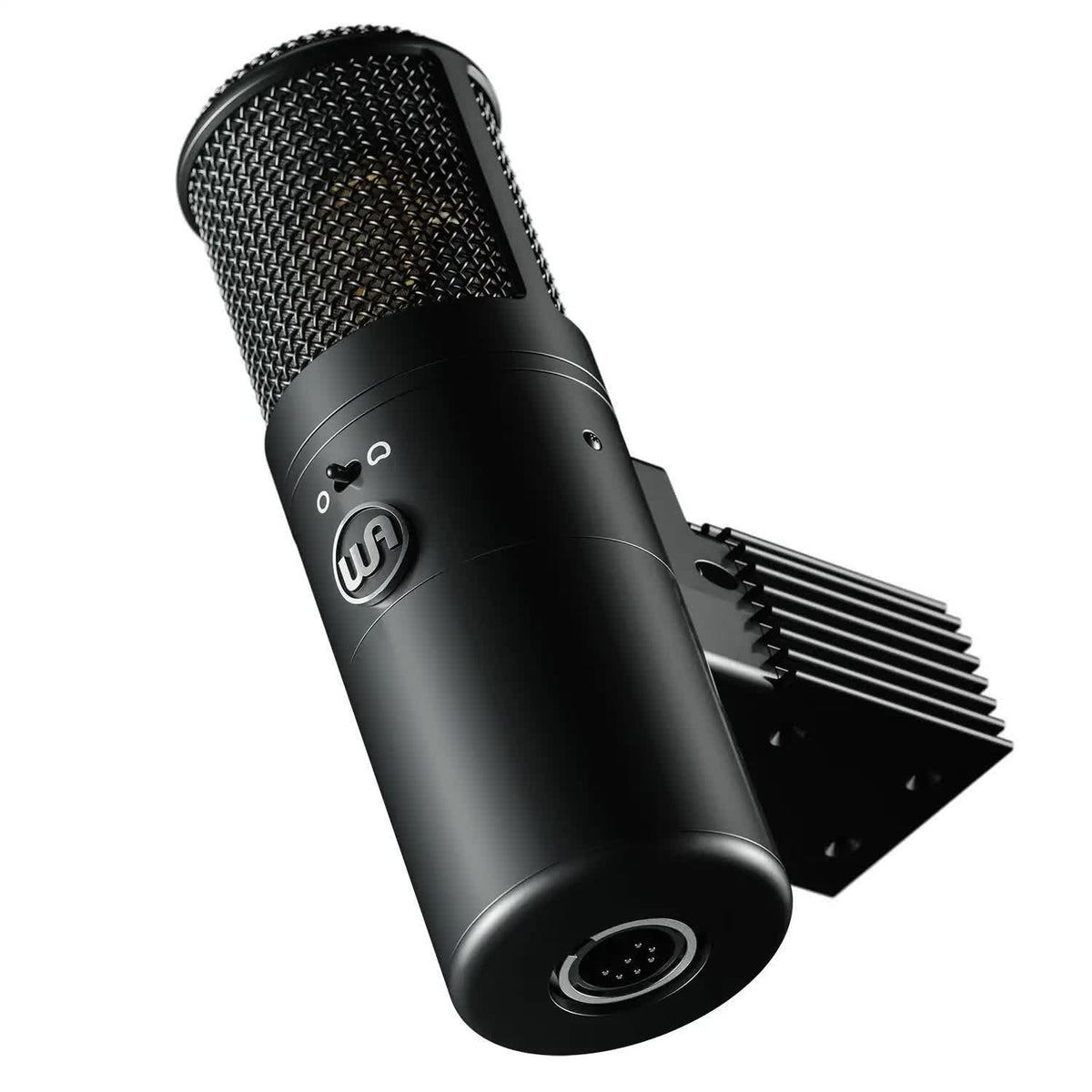 Warm Audio WA-8000 Large Diaphragm Tube Condenser Microphone